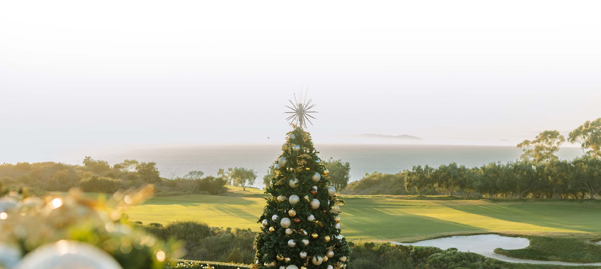 Christmas tree skyline