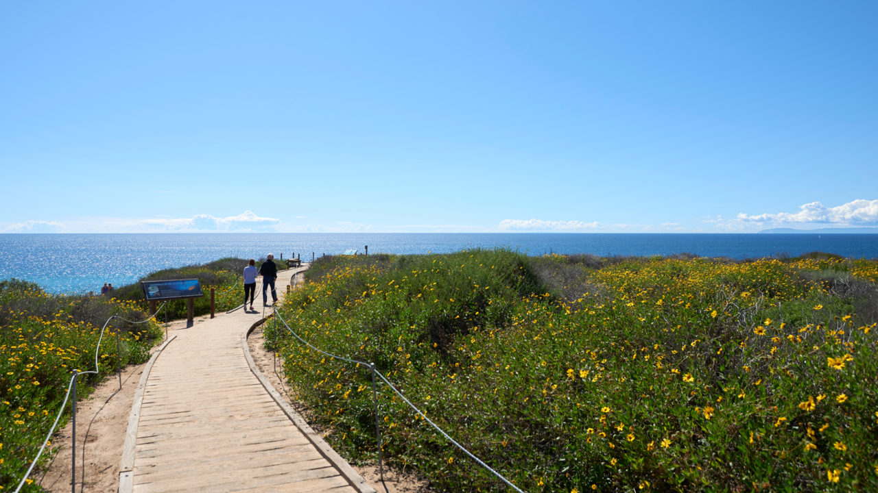 Crystal Cove State Park
