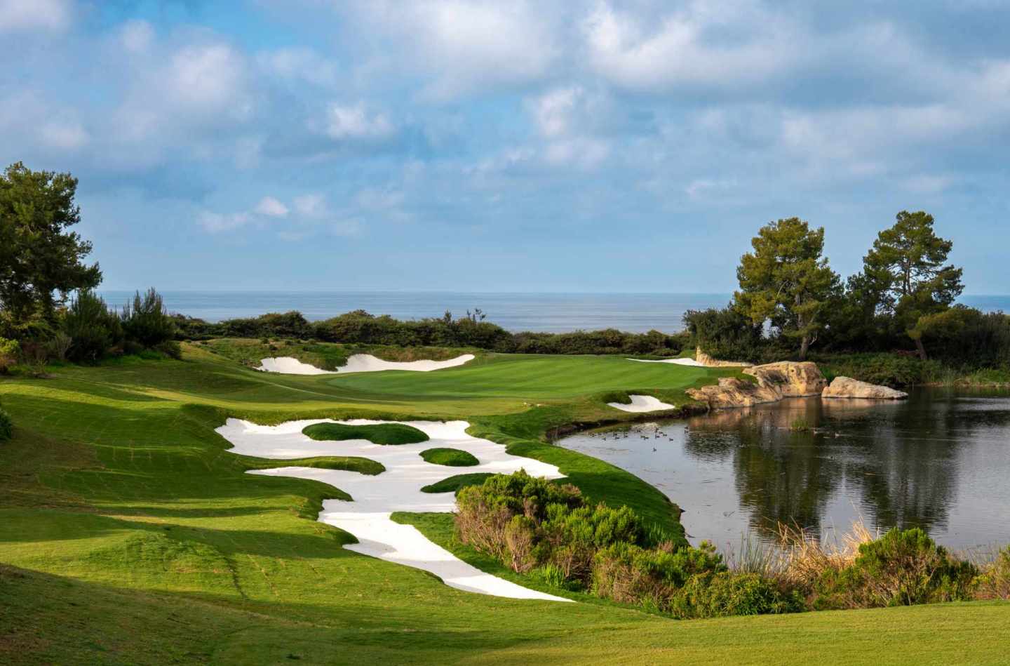 South Course 7