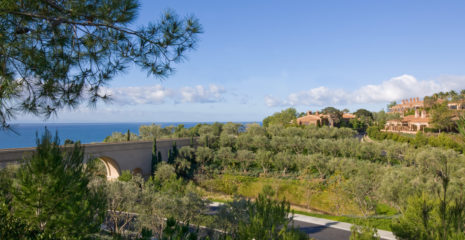 Pelican Peace of Mind