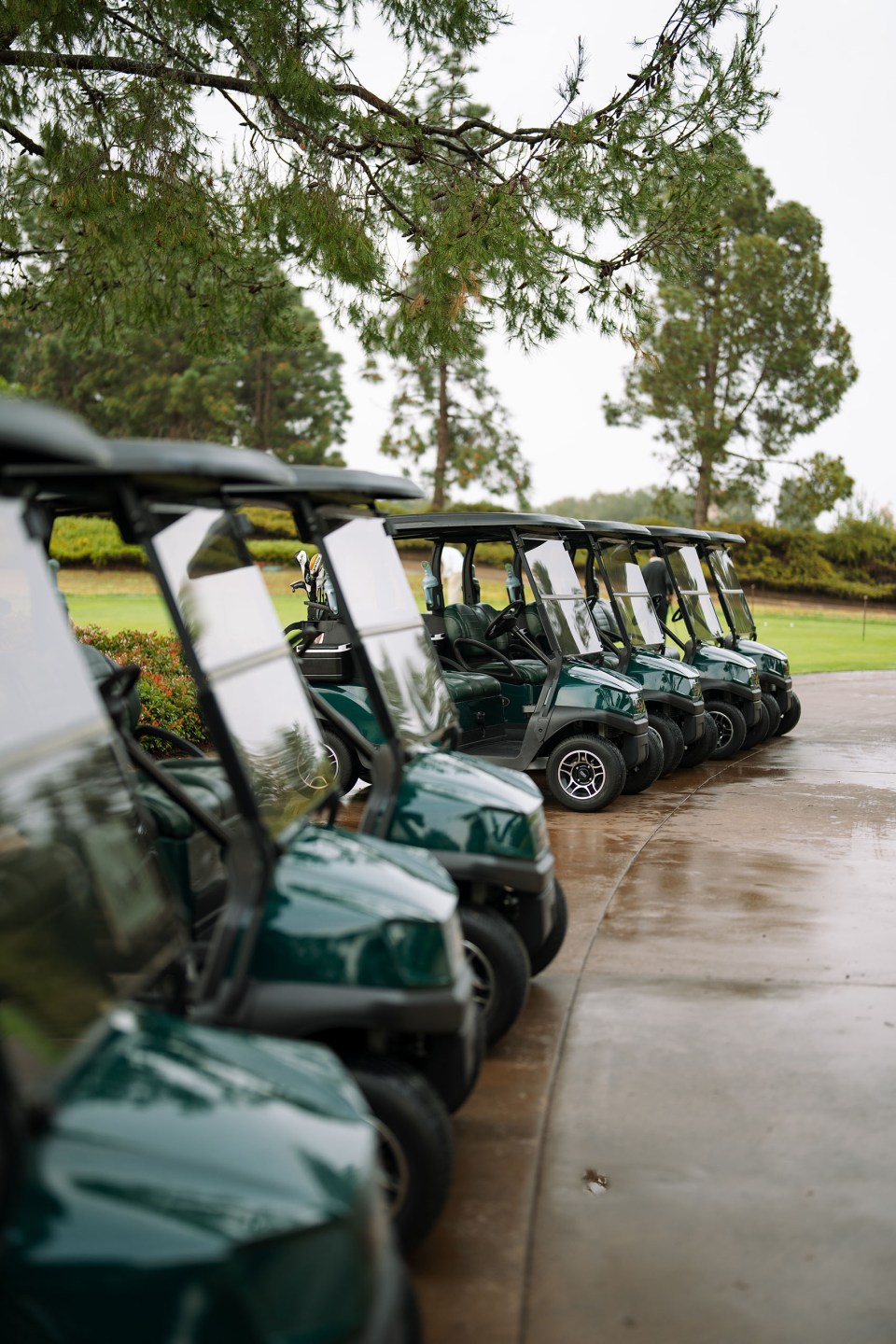 pelican hill golf carts